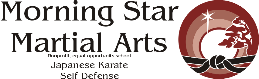 Morning Star Martial Arts banner image